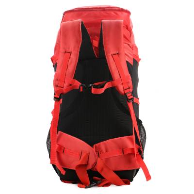 CandK Red Polyester 60L Travel bag