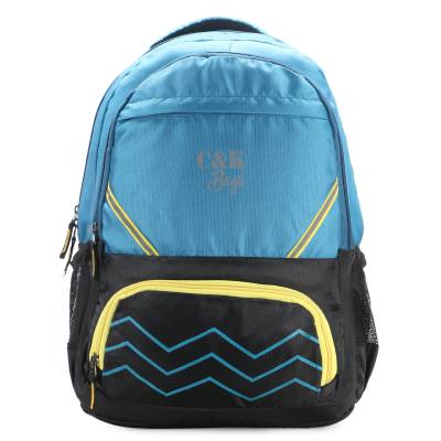CandK Sky Blue Polyester 30L Backpack