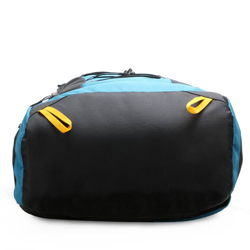CandK Blue-Black Polyester 42L Travel Bag