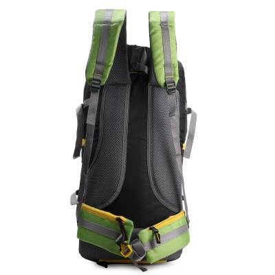 CandK Green-Black Polyester 52L Travel Bag
